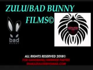 Bizz Bunny Intro Clips, Free BBC adult clip film 6c